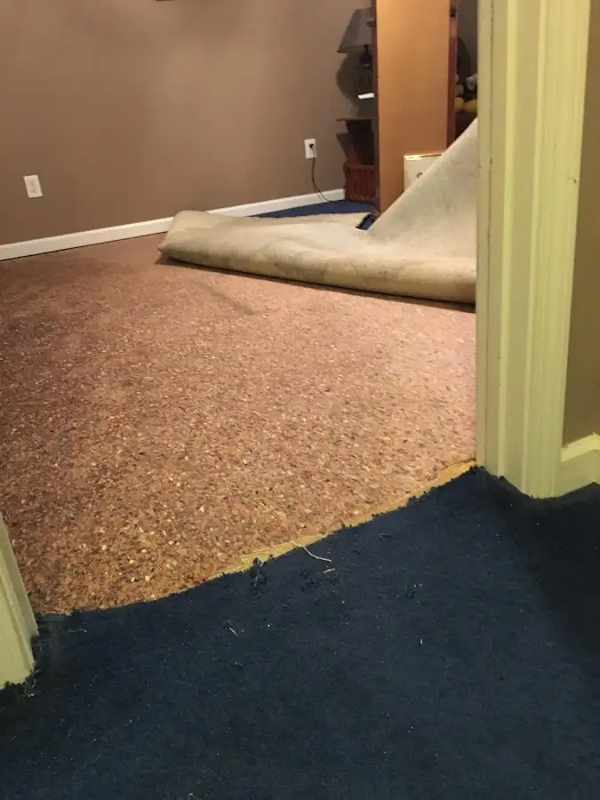 Carpet pad removal revealing water damage during Water Mitigation Services in South San Francisco